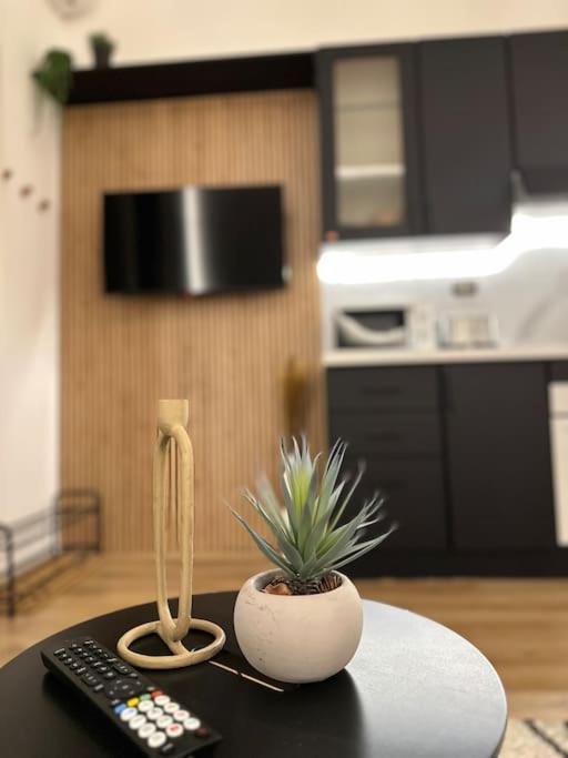 Apartament La Casa Di Marlu - Gorgeous Flat In Catania Centre Zewnętrze zdjęcie